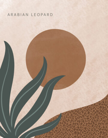 Aphie. Estudio Creativo.